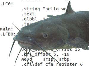 The Catfish Programmer